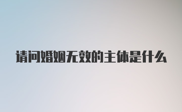 请问婚姻无效的主体是什么