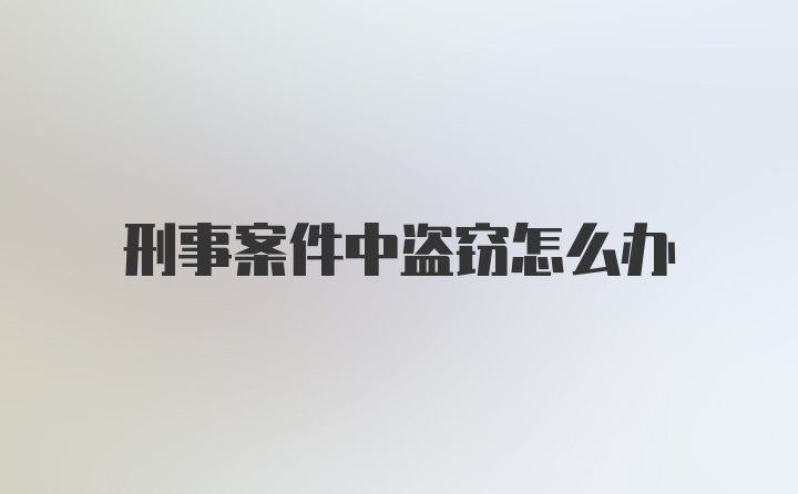 刑事案件中盗窃怎么办