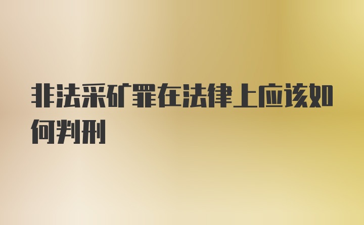 非法采矿罪在法律上应该如何判刑