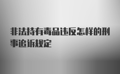 非法持有毒品违反怎样的刑事追诉规定