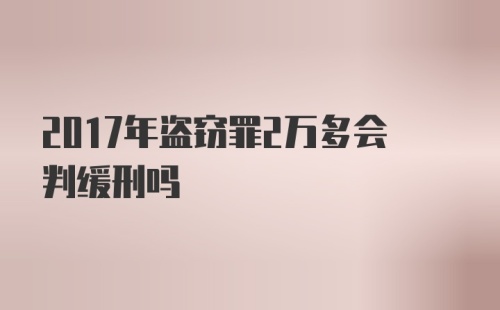 2017年盗窃罪2万多会判缓刑吗