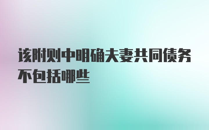 该附则中明确夫妻共同债务不包括哪些