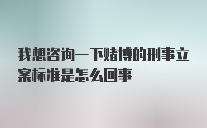 我想咨询一下赌博的刑事立案标准是怎么回事