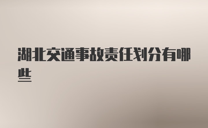 湖北交通事故责任划分有哪些