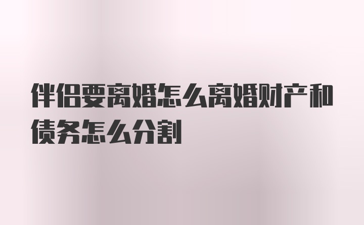 伴侣要离婚怎么离婚财产和债务怎么分割