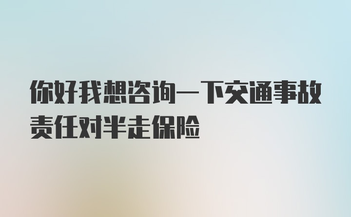 你好我想咨询一下交通事故责任对半走保险