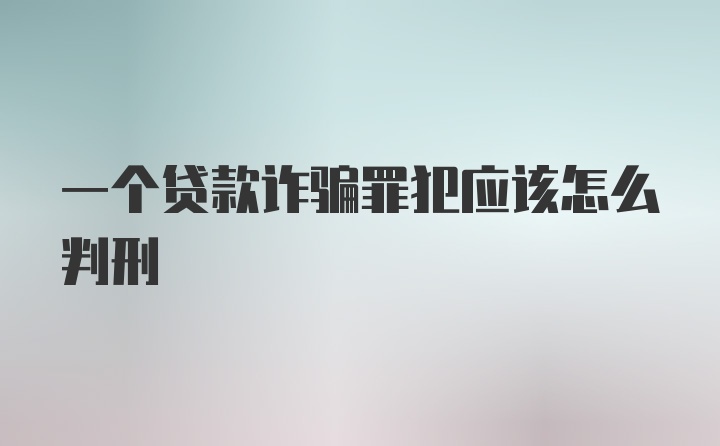 一个贷款诈骗罪犯应该怎么判刑