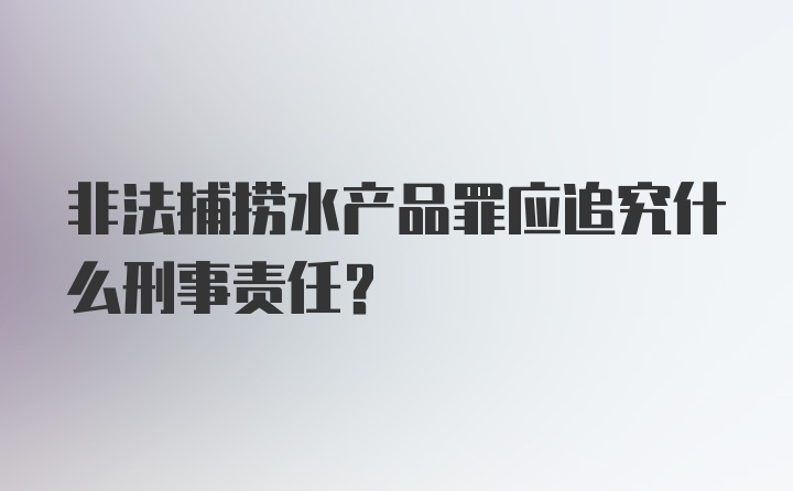 非法捕捞水产品罪应追究什么刑事责任？