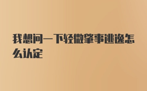 我想问一下轻微肇事逃逸怎么认定