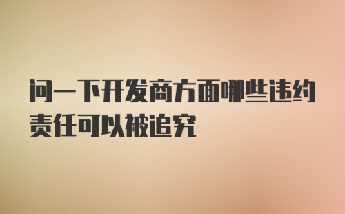 问一下开发商方面哪些违约责任可以被追究