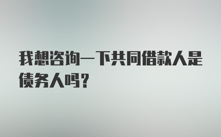 我想咨询一下共同借款人是债务人吗？