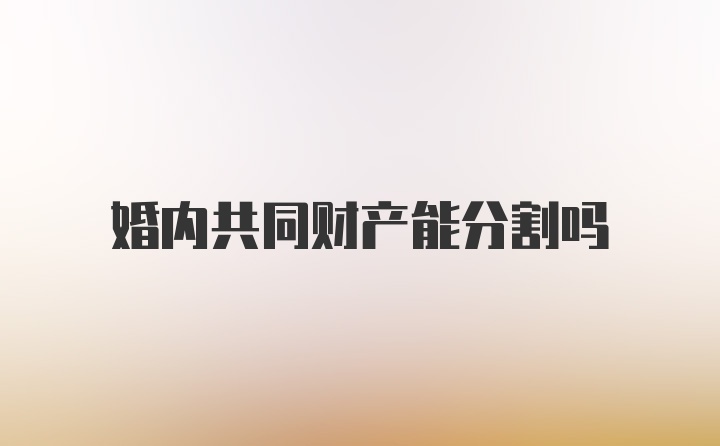 婚内共同财产能分割吗