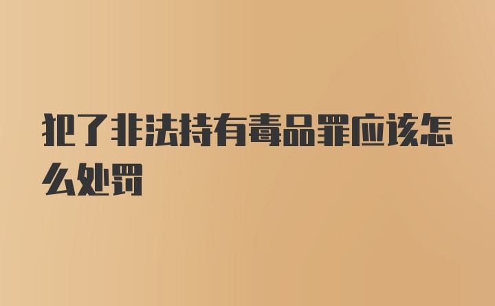 犯了非法持有毒品罪应该怎么处罚