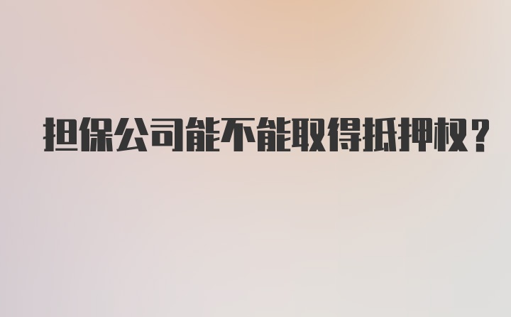 担保公司能不能取得抵押权？