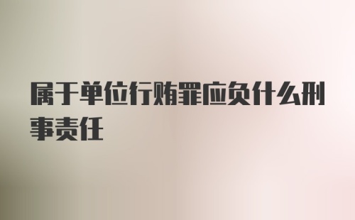 属于单位行贿罪应负什么刑事责任