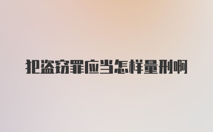 犯盗窃罪应当怎样量刑啊