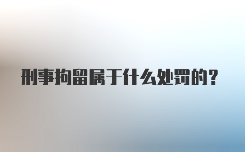 刑事拘留属于什么处罚的?