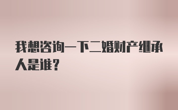 我想咨询一下二婚财产继承人是谁?