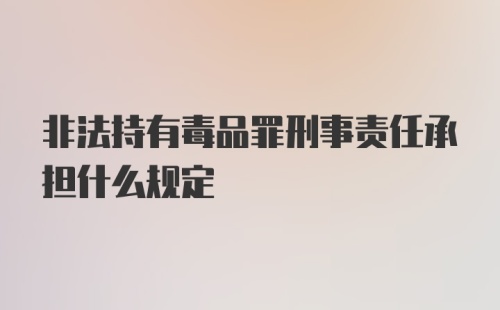 非法持有毒品罪刑事责任承担什么规定