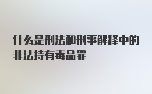 什么是刑法和刑事解释中的非法持有毒品罪