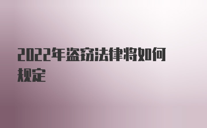 2022年盗窃法律将如何规定