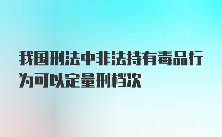 我国刑法中非法持有毒品行为可以定量刑档次