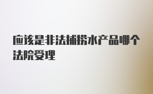 应该是非法捕捞水产品哪个法院受理