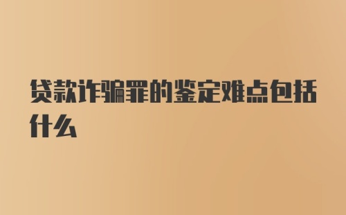 贷款诈骗罪的鉴定难点包括什么