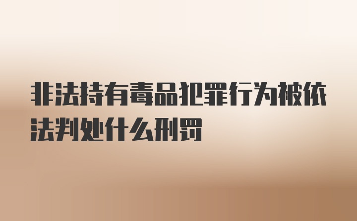 非法持有毒品犯罪行为被依法判处什么刑罚