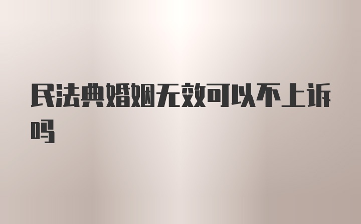 民法典婚姻无效可以不上诉吗