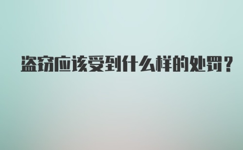 盗窃应该受到什么样的处罚？