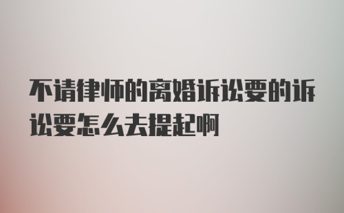 不请律师的离婚诉讼要的诉讼要怎么去提起啊