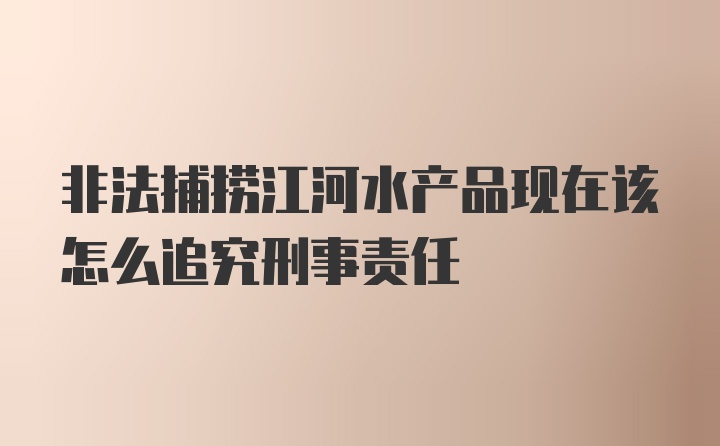 非法捕捞江河水产品现在该怎么追究刑事责任