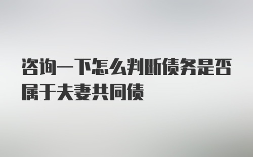 咨询一下怎么判断债务是否属于夫妻共同债