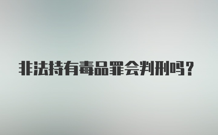 非法持有毒品罪会判刑吗？