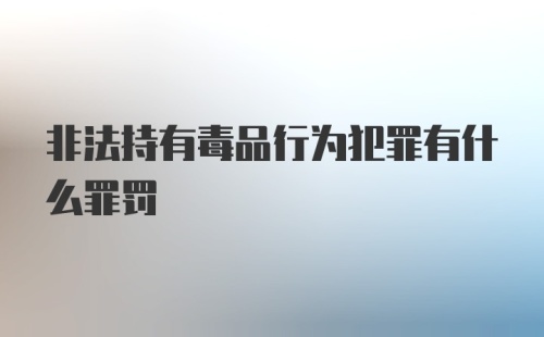 非法持有毒品行为犯罪有什么罪罚