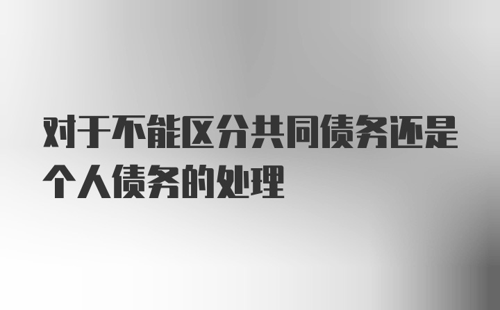 对于不能区分共同债务还是个人债务的处理