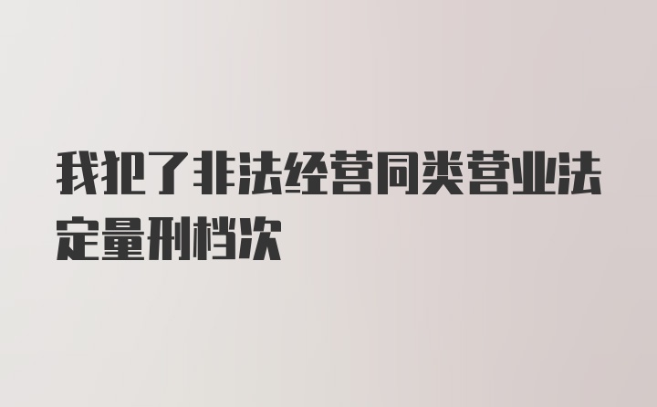 我犯了非法经营同类营业法定量刑档次