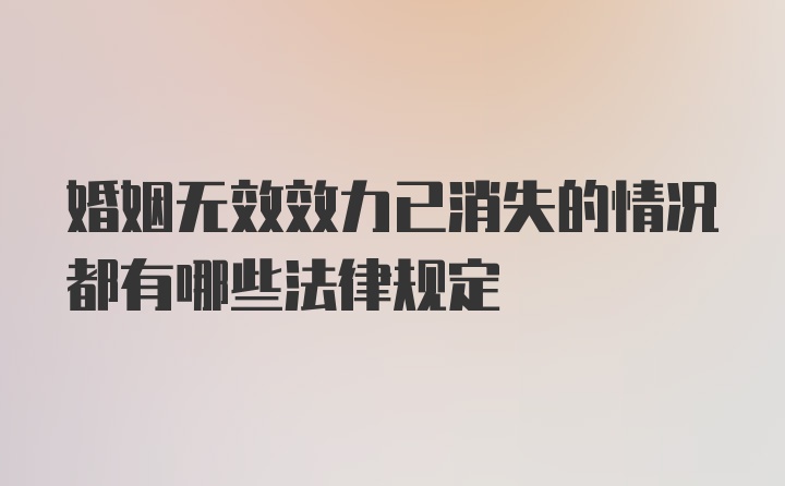 婚姻无效效力已消失的情况都有哪些法律规定