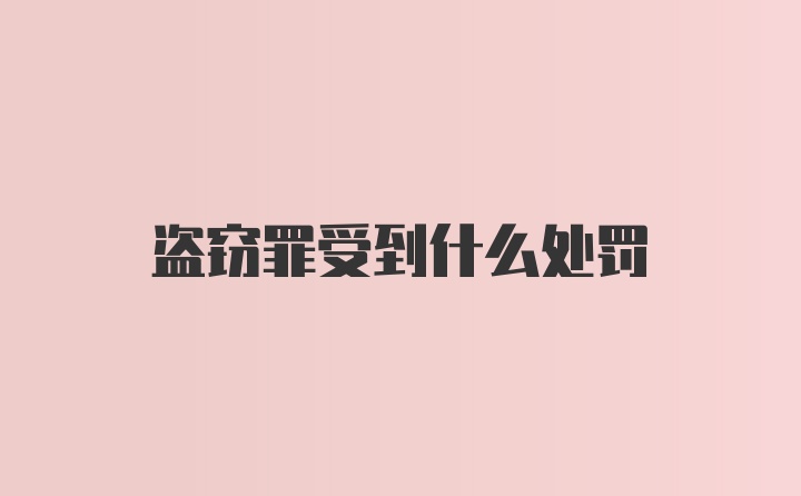 盗窃罪受到什么处罚