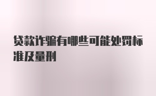 贷款诈骗有哪些可能处罚标准及量刑