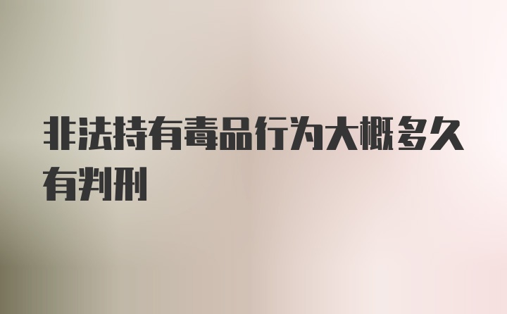 非法持有毒品行为大概多久有判刑