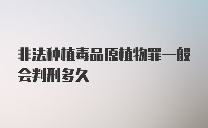 非法种植毒品原植物罪一般会判刑多久