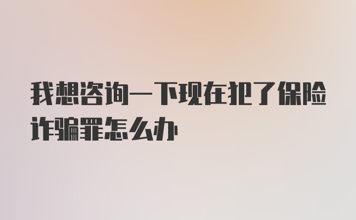 我想咨询一下现在犯了保险诈骗罪怎么办