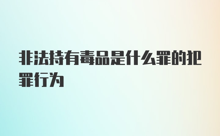 非法持有毒品是什么罪的犯罪行为