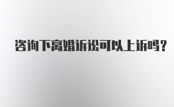 咨询下离婚诉讼可以上诉吗？