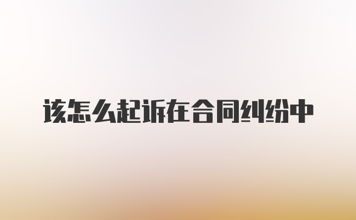 该怎么起诉在合同纠纷中