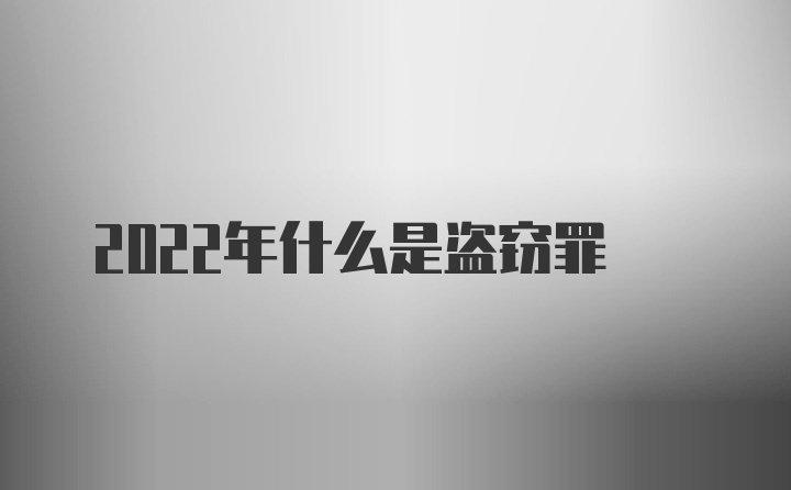 2022年什么是盗窃罪