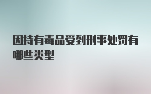 因持有毒品受到刑事处罚有哪些类型