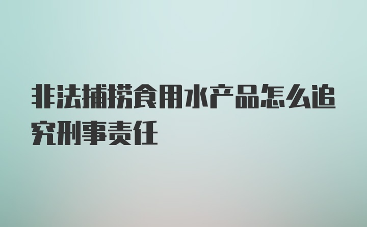 非法捕捞食用水产品怎么追究刑事责任